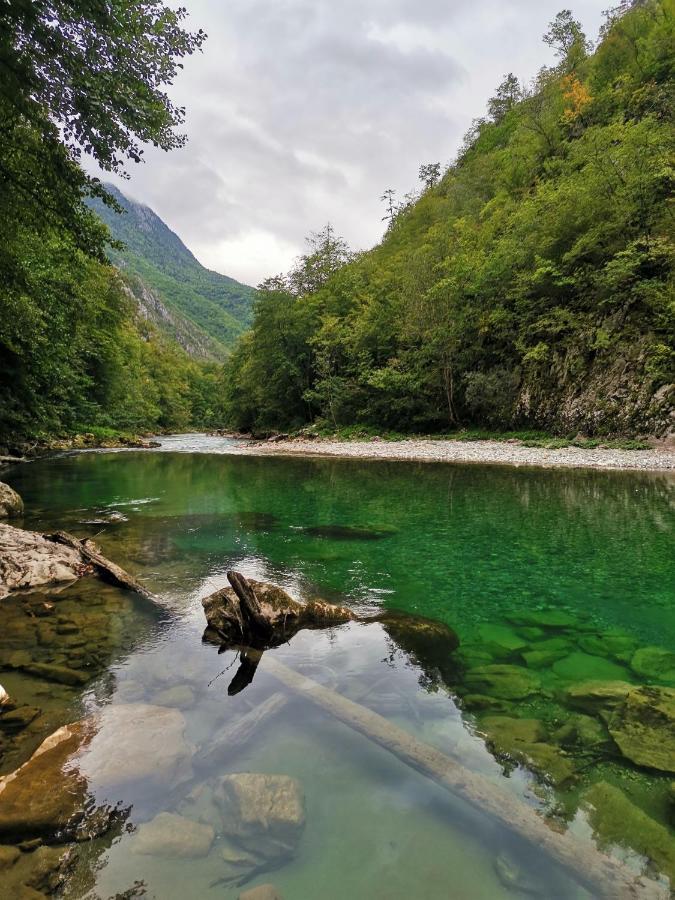 Ethno Cottage Momo Tepca Žabljak Eksteriør bilde