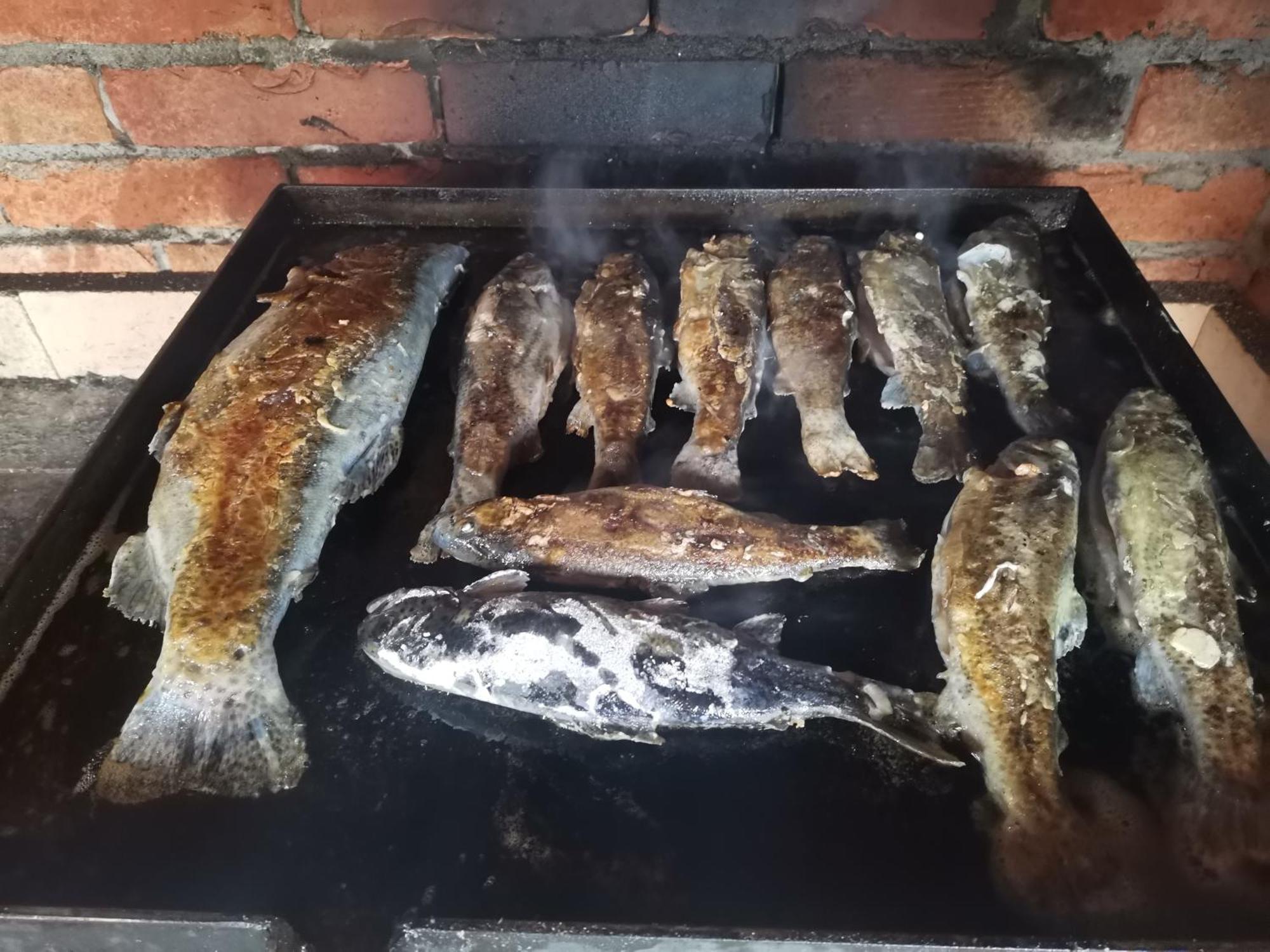 Ethno Cottage Momo Tepca Žabljak Rom bilde
